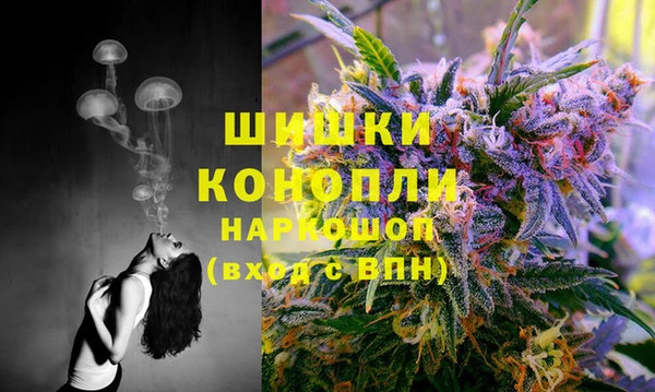 амф Саяногорск